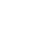 Logo  Vallée d'Aoste