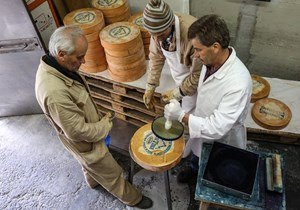 Fontina cheese marking