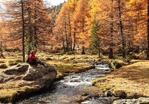 Torrente in autunno La Salle