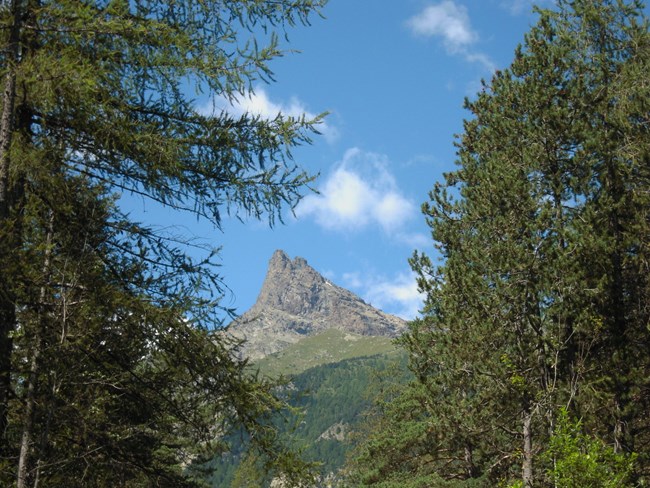 Il Mont Avic