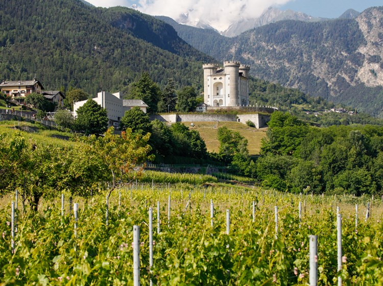 Aymavilles - castello e vigneti
