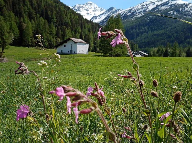 Cappella di Arpy