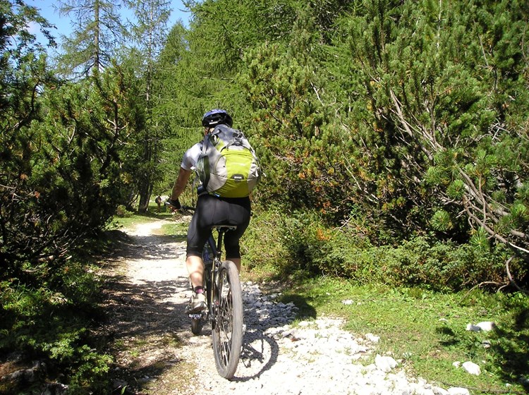 E-bike
