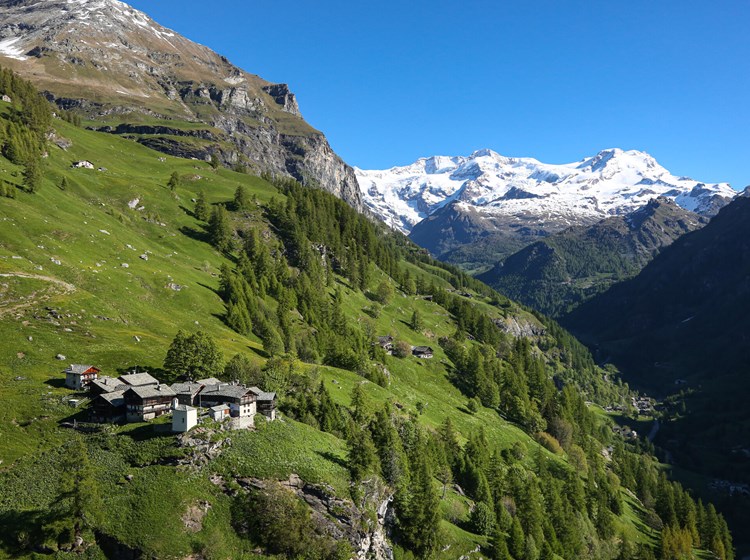 Alpenzu