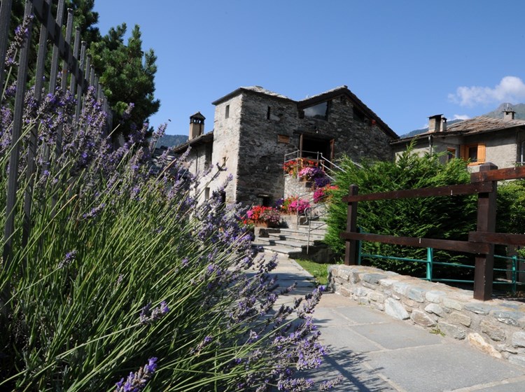 Bibliothèque de Antey
