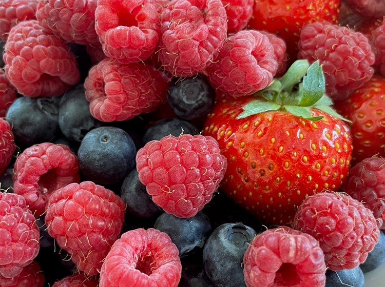 Small fruit festival