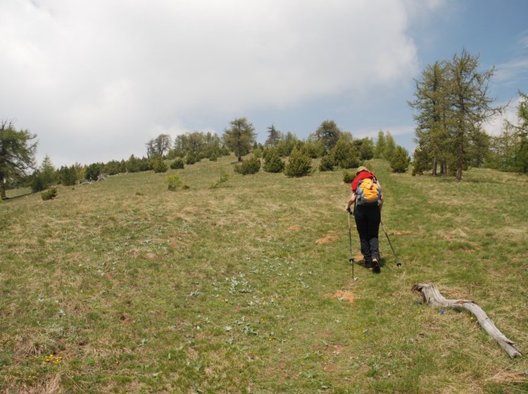 Testa Comagna - Challand-Saint-Anselme