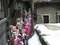 Les Lanzettes visitent les hameaux