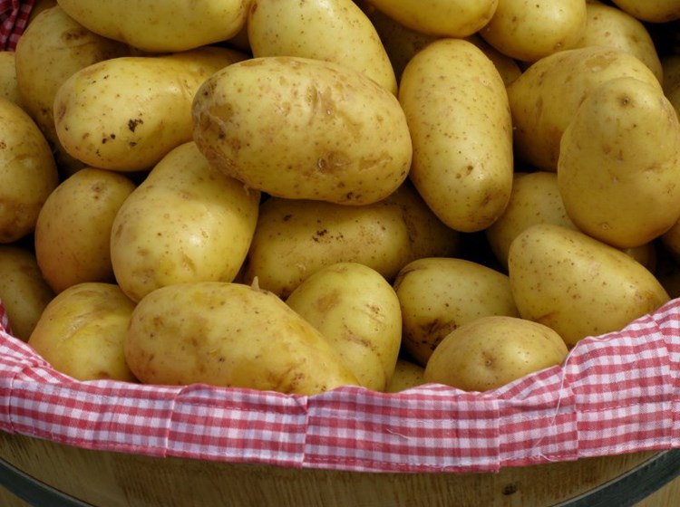 Mountain potatoes
