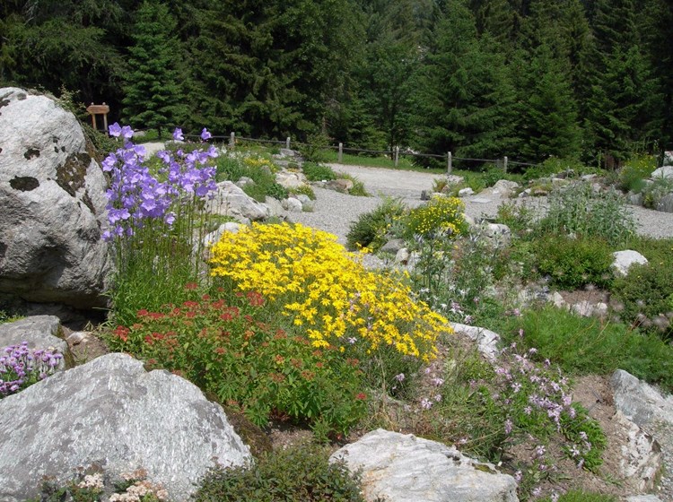 Giardino botanico Castel Savoia -Gressoney-St-Jean