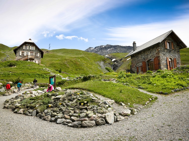Giardino botanico Chanousia