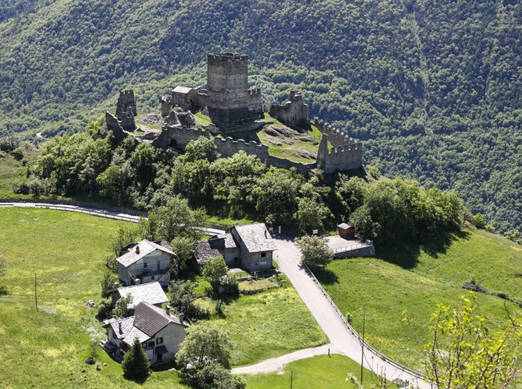 Houses down of the castle