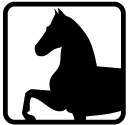 Equitazione / maneggio