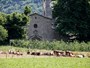 La chiesa che accoglie il museo