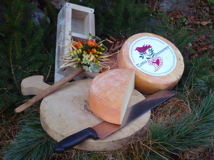 Gressoney Toma cheese
