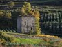 Tour de la Plantà