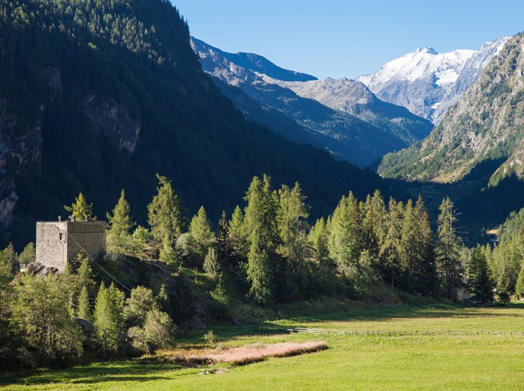 Maison forte des Seigneurs d'Avise