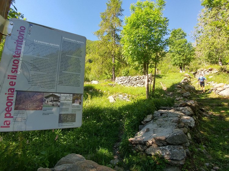 chemin muletier vers le Col Fenêtre