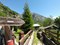 cartello - frassino monumentale - villaggio Pesse