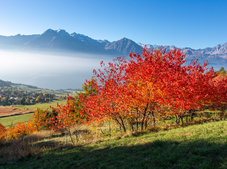 Colori autunnali a Saint-Denis