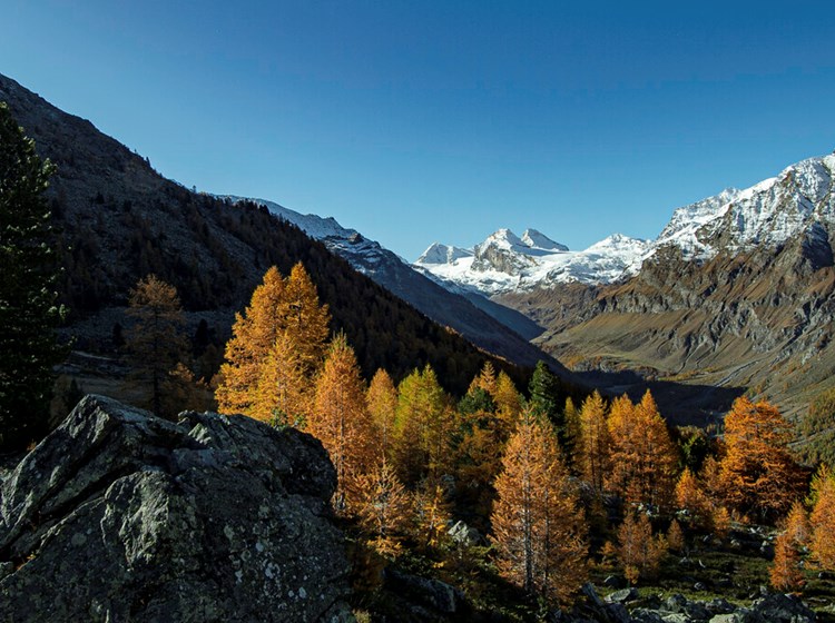 Autunno in Val di RhÃªmes