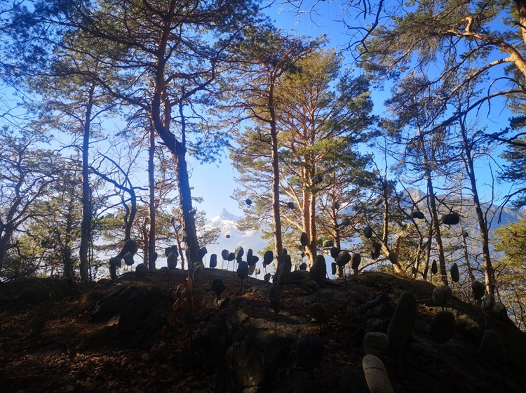 ChallandArt - sullo sfondo il Mont Avic