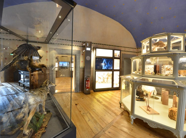 Museo di scienze naturali - castello di Saint-Pier