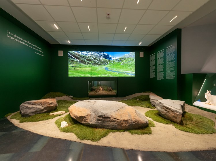 Museo di scienze naturali - castello di Saint-Pier