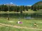 Lago di Lod