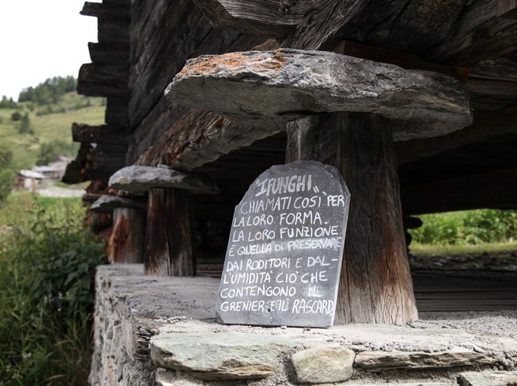 Il caratteristico "fungo"