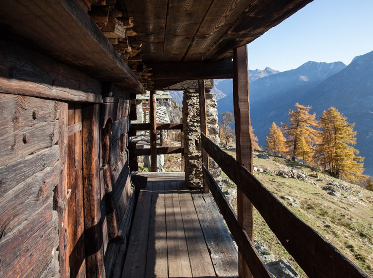 La struttura in legno