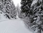 High Valley of Great Saint-Bernard cross-country runs