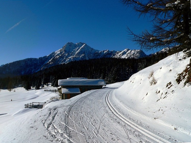 La Becca d'Aver à l'arrière-plan