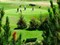 Joueurs de golf