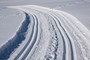 Cross-country runs in Gressoney-La-Trinité