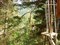 The adventure park