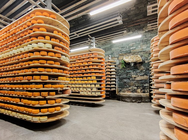 Cheese aging cellar