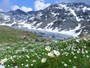 La piana di Aosta