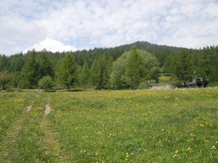Col du Joux - Brusson