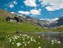 Rifugio Bezzi - Valgrisenche