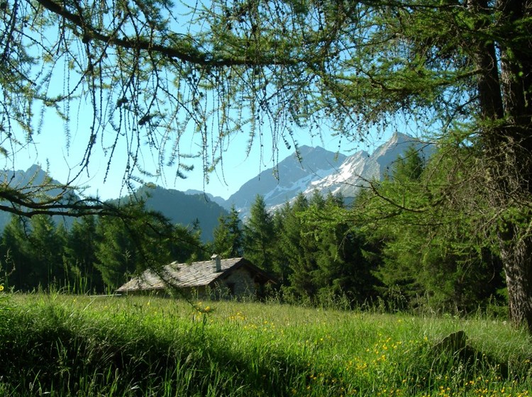 Il Mont Nery da Estoul - Brusson