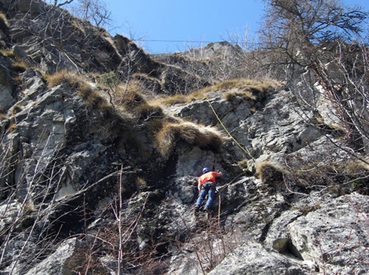 Parties mixtes de rochers et d'herbe