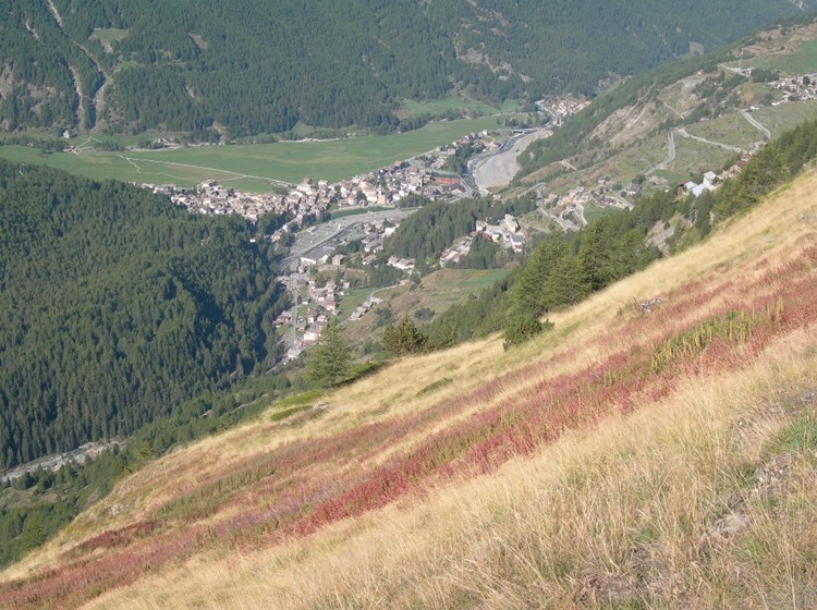Cogne visto dalla miniera di Colonna