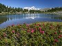 Lac d'Arpy