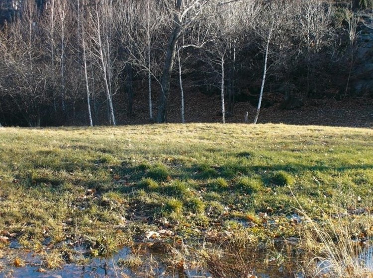 Riserva naturale Stagno di Holay