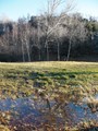 Holay pond nature reserve