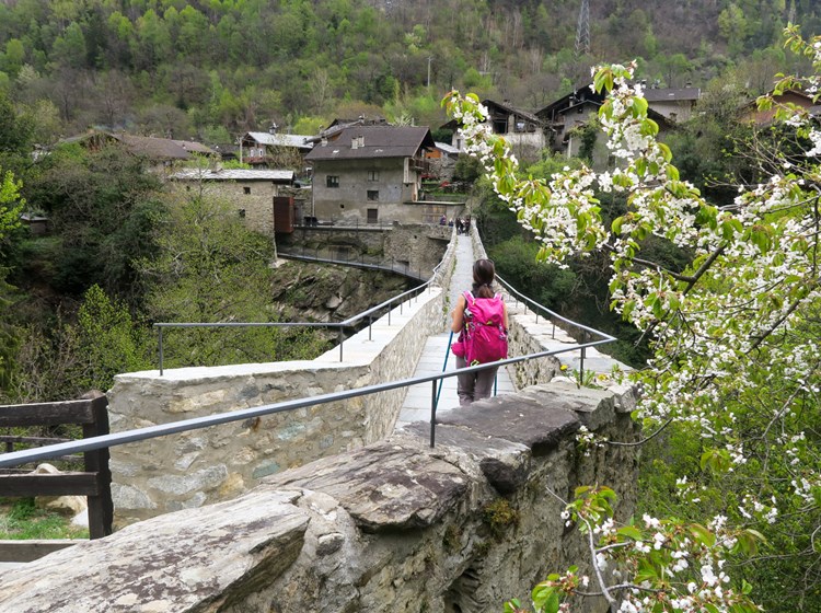 the aqueduct bridge in spring