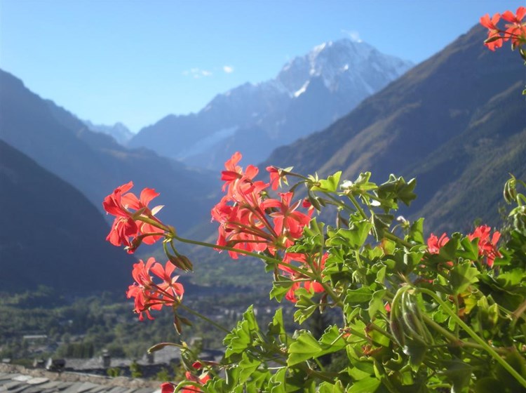 B&B Il Portico - Panorama