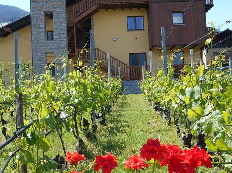 c.a.v. La Vigne de Papagran