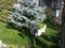 b&b Jasmin giardino